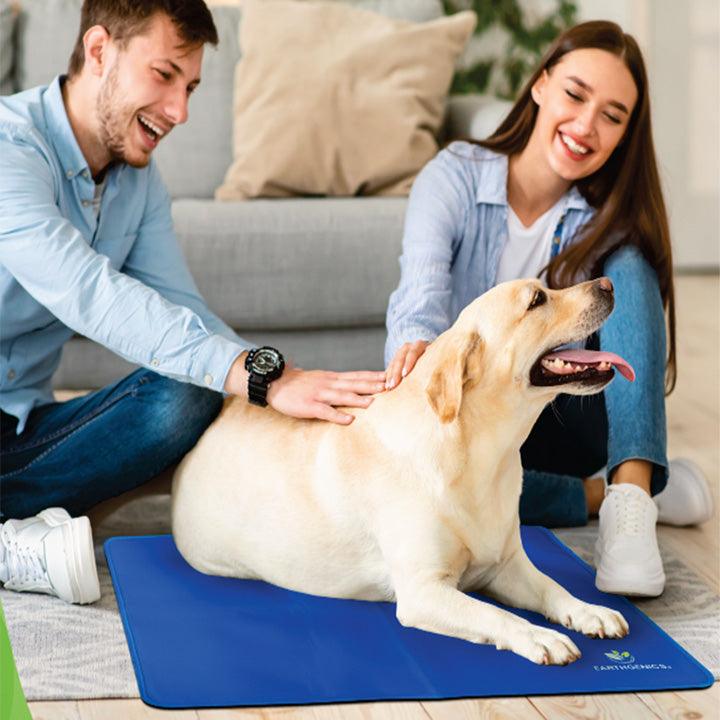 Cooling Mat & Sleeping Pad for Dog Cat - Water Absorption Top +