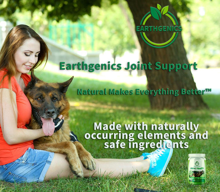 nutrition supplements for dogs