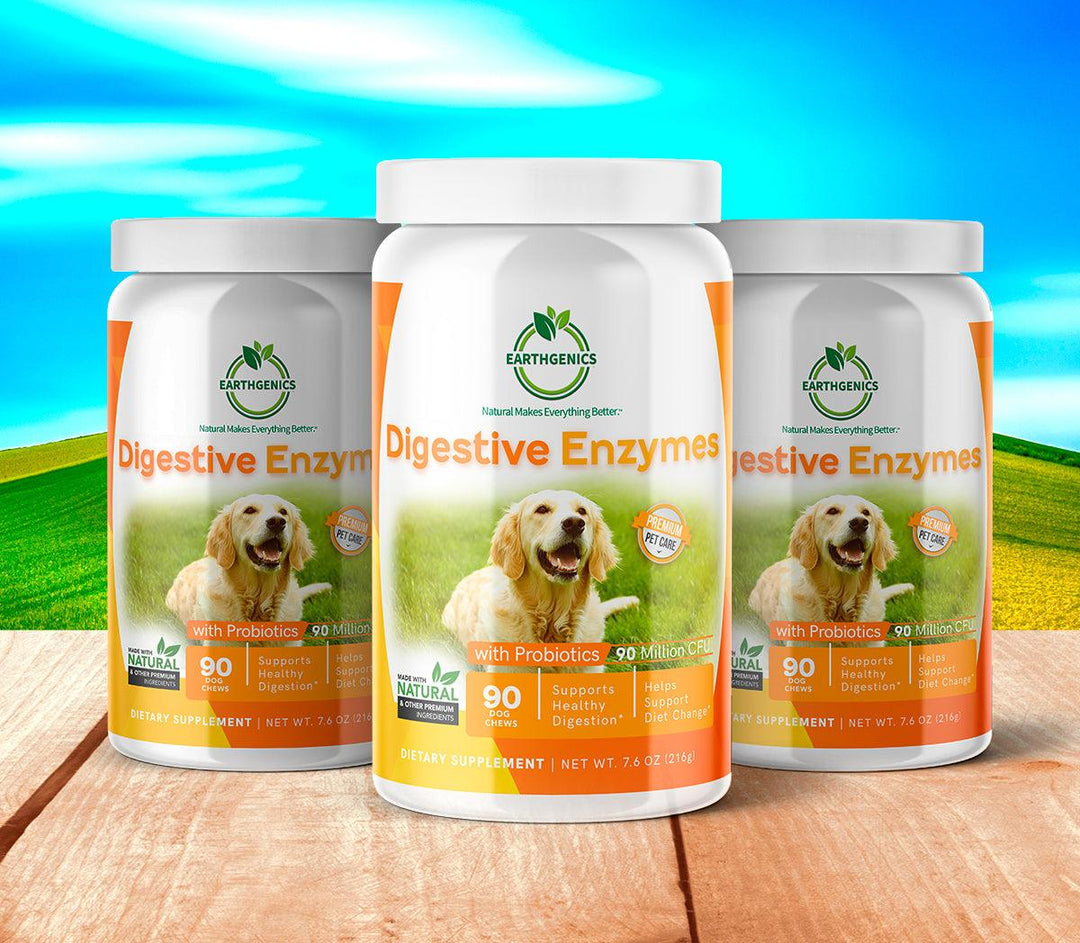 digestive enzymes supplement for dogs