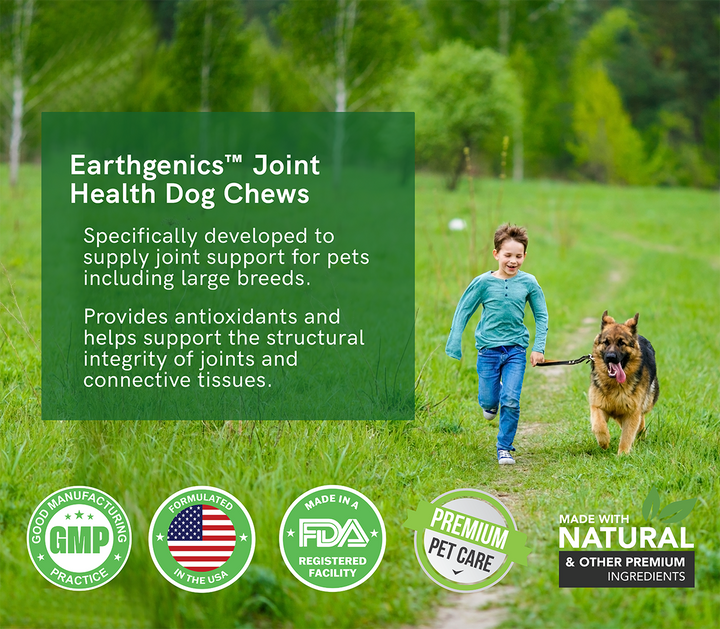 joint health dog chews