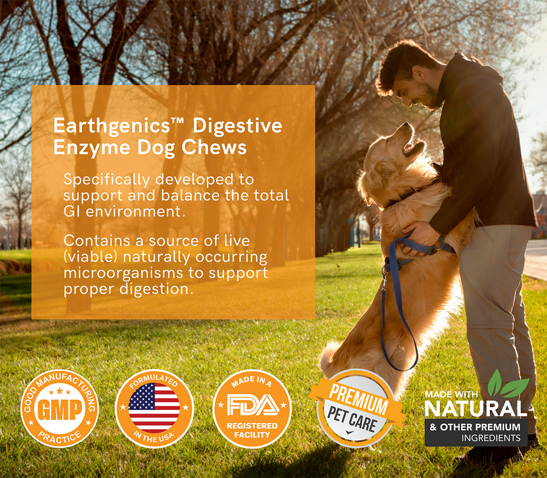digestive enzymes for chews