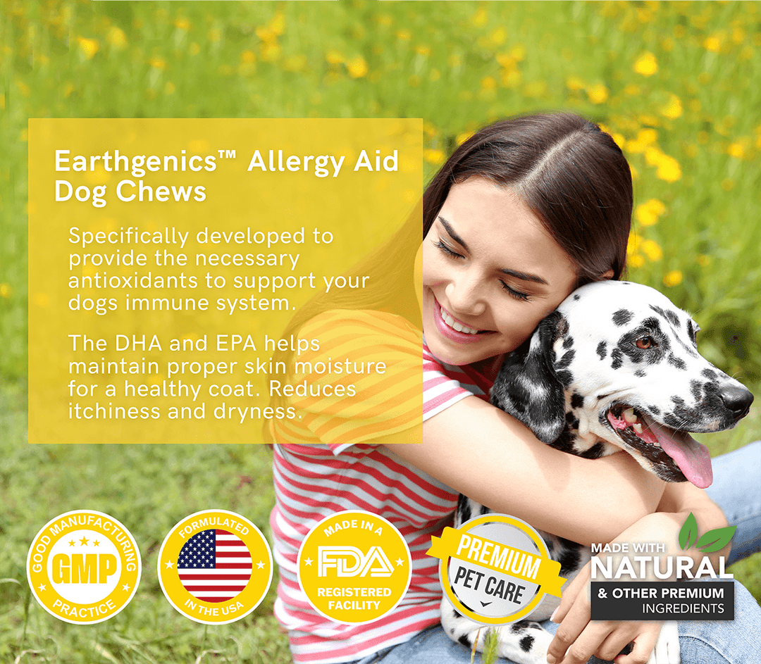 allergy supplements for dogs